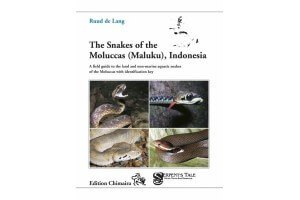 The Snakes of the Moluccas...