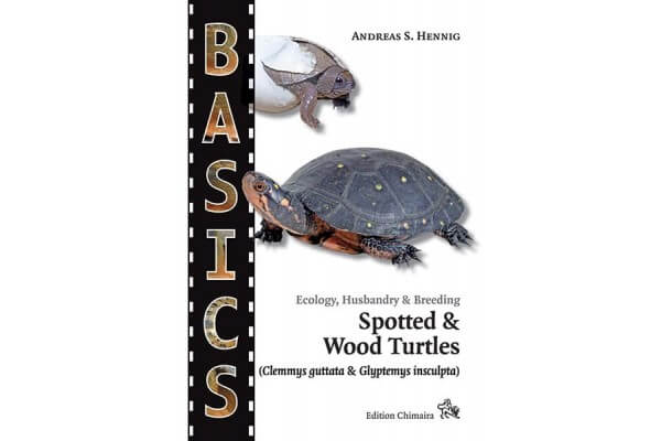 Spotted & Wood Turtles (Clemmys guttata & Glyptemys insculpta) - Collection BASICS Spotted & Wood Turtles (Clemmys guttata & Glyptemys insculpta) - Collection BASICS