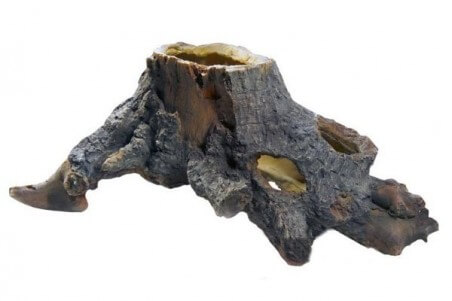 Stump cavity