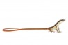 Takydromus sexlineatus