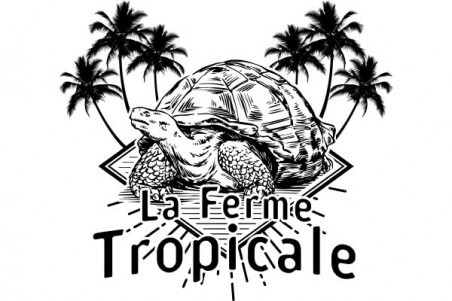 T-shirt homme - logo tortue - Noir