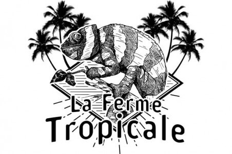 T-shirt enfant - logo caméléon - Blanc