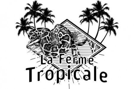 T-shirt enfant - logo serpent- Blanc