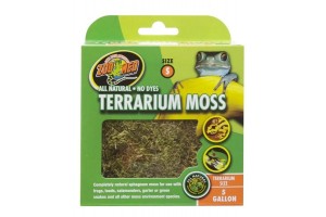 Terrarium Moss