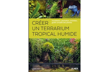 Créer un terrarium tropical humide