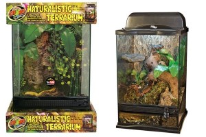 Naturalistic Terrarium