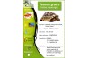 Testudo graeca ibera, femelle adulte