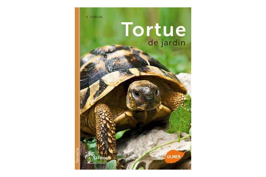 Tortues de jardin