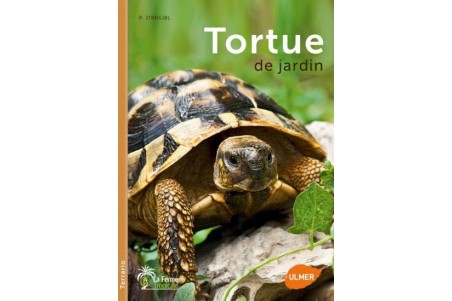 Tortues de jardin