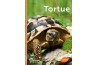 Tortues de jardin