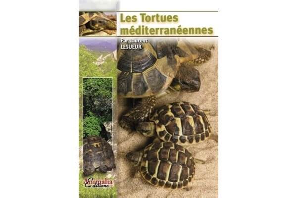Les tortues Méditerranéennes Les tortues Méditerranéennes