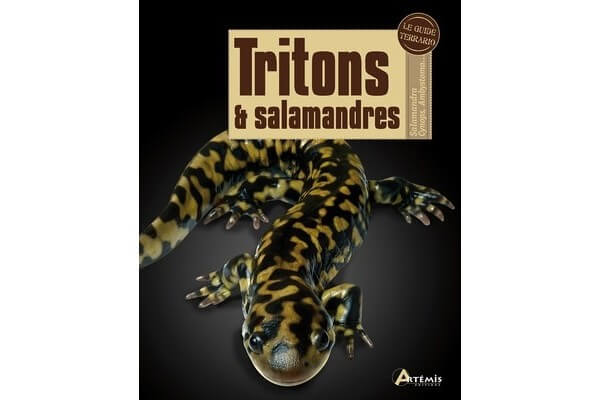 Tritons et salamandres Tritons et salamandres