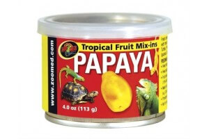 Tropical Fruit - Papaya