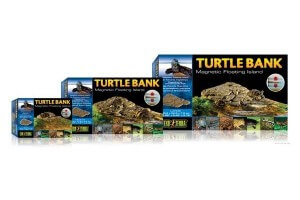 Turtle Bank