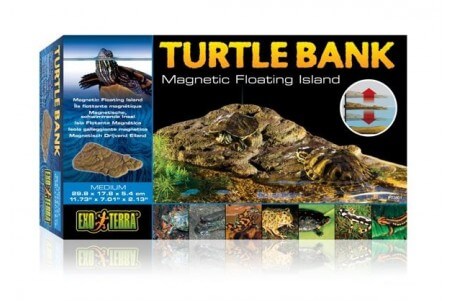 Turtle Bank