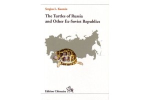 The turtles of Russia and...