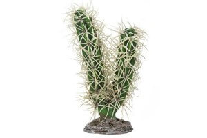 Cactus Simpson