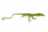 Varanus prasinus, bébé