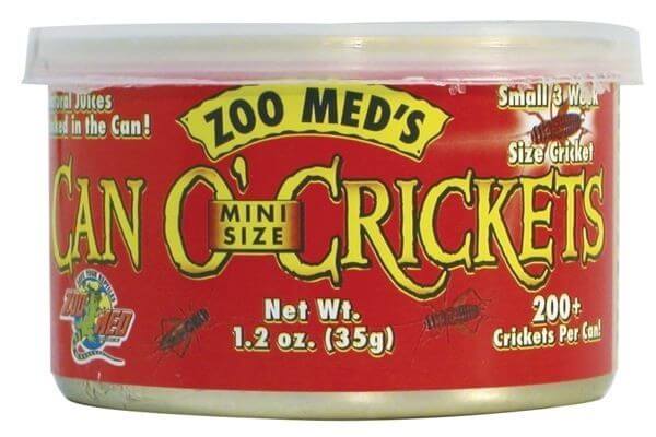 Can O' Cricket Mini Size - 35 g