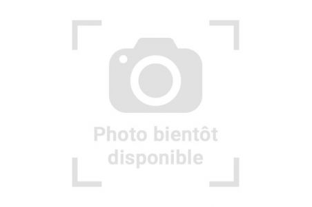 Furcifer pardalis, Tamatave, mâle juvénile