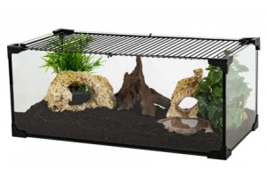 Bemiddelen gegevens contant geld Achat Terrarium en Verre - Terrariums en Verre - La Ferme Tropicale