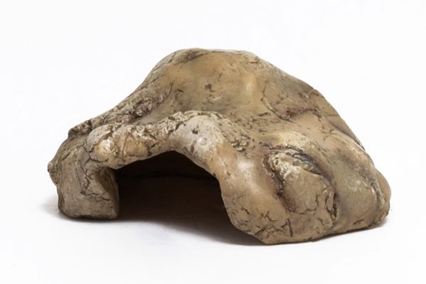 Cave pour reptile Cave pour reptile