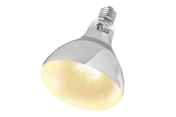 Lampe Super Sun UVB Autoballastée Lampe Super Sun UVB Autoballastée
