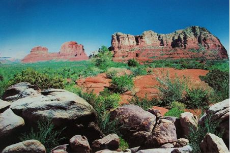 Poster Forêt tropicale/Red Canyon