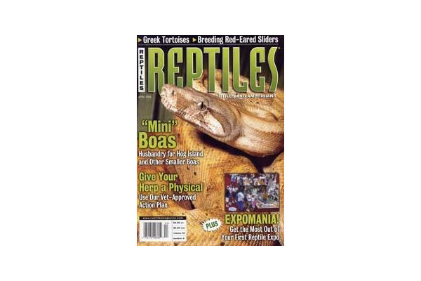 Reptiles