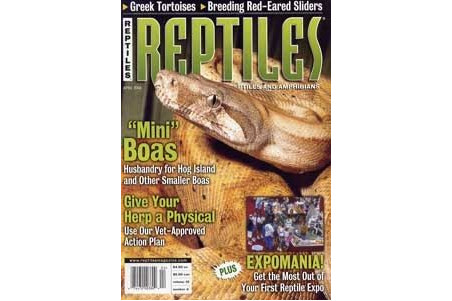 Reptiles