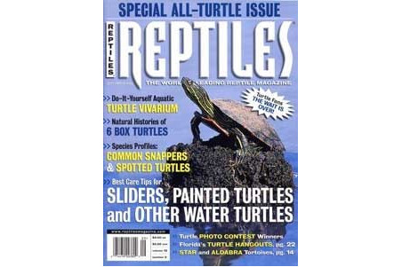 Reptiles