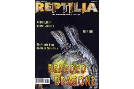 Reptilia