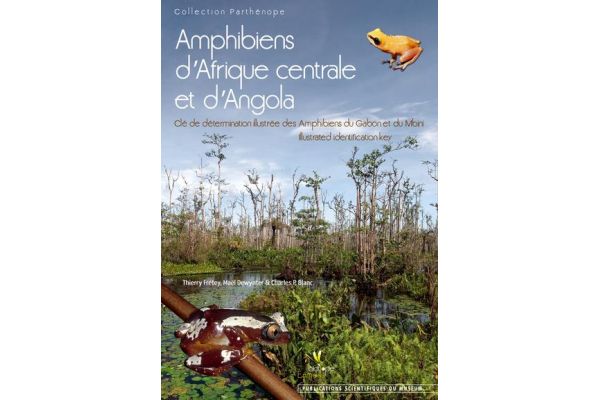 Amphibien d'Afrique Centrale et d'Angola