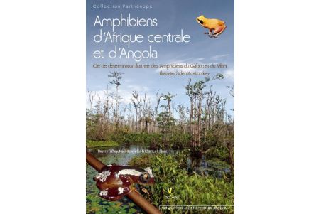 Amphibien d'Afrique Centrale et d'Angola Amphibien d'Afrique Centrale et d'Angola