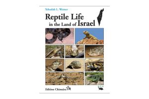 Reptile Life in the land of Israel