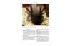 Threatened Newts & Salamanders - Guidelines for conserving Breeding