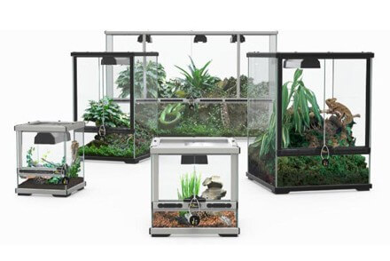 Achat Terrarium en Verre - Terrariums en Verre - La Ferme Tropicale