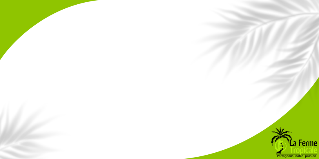 Slide background
