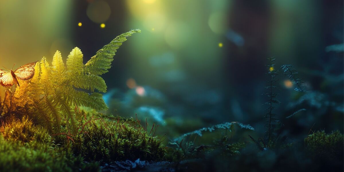 Cartes cadeau noel 2025 Slide background