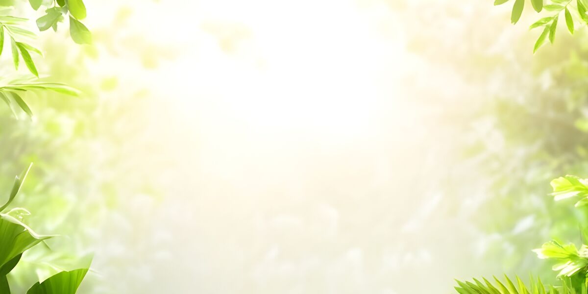 PREVENTES Slide background