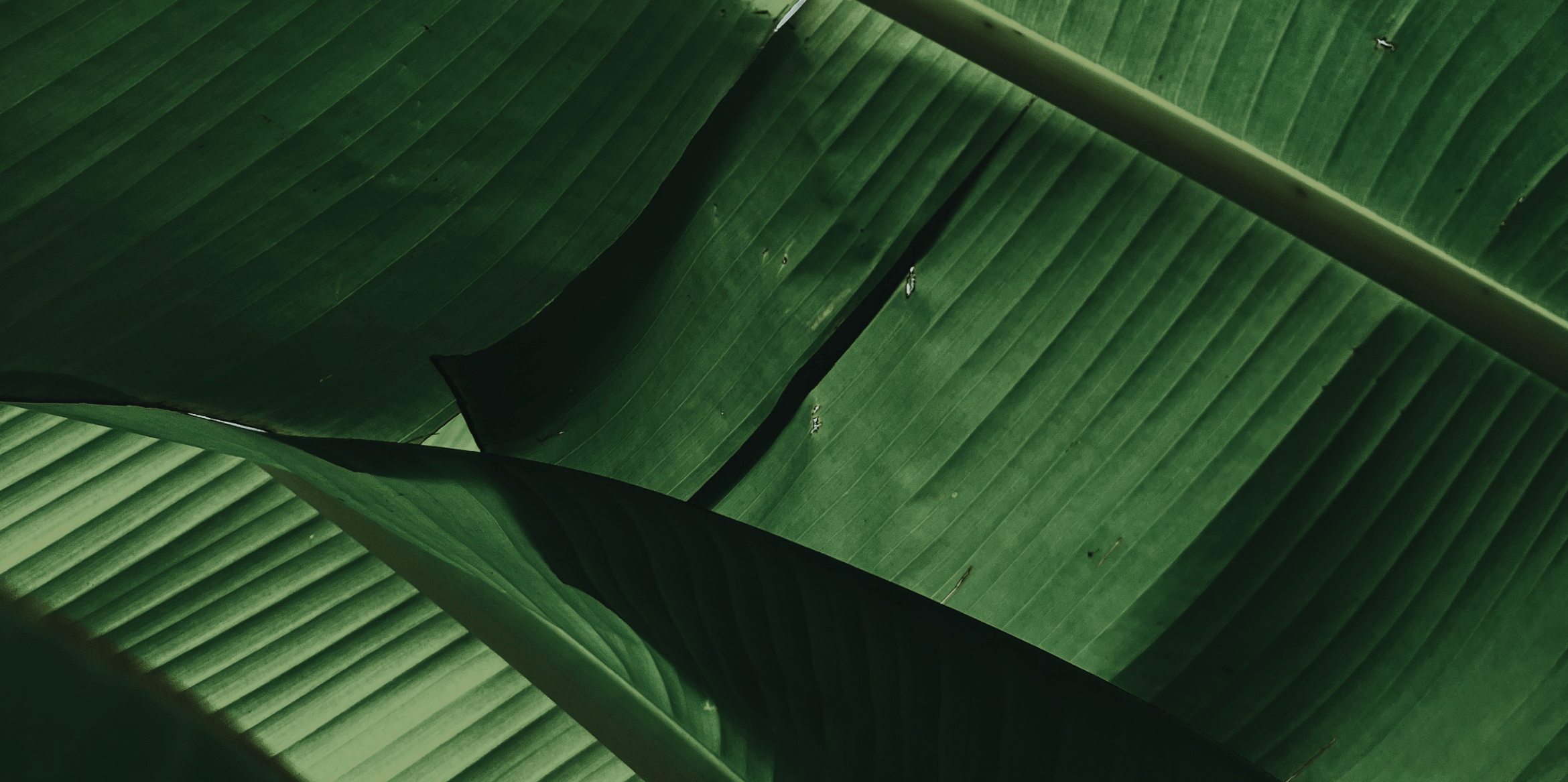 Slide background
