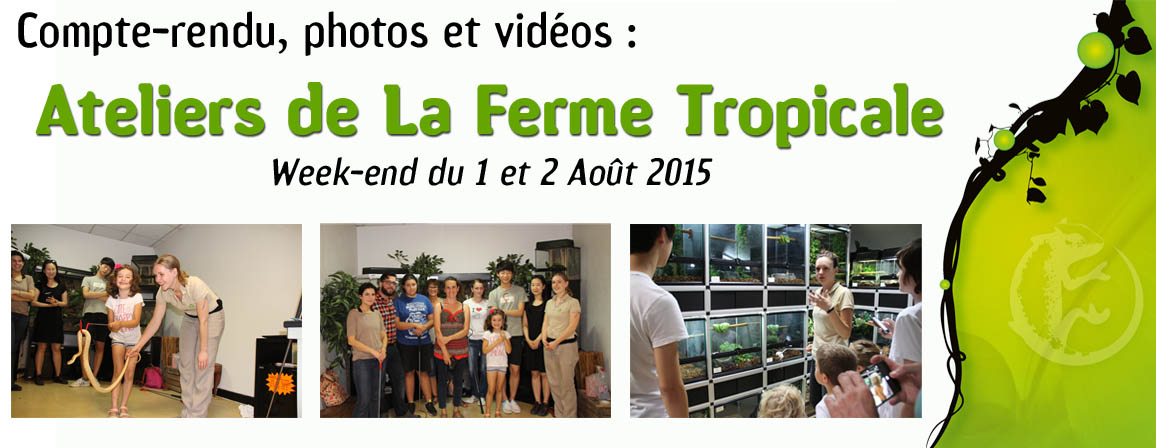 compte_rendu_ateliers