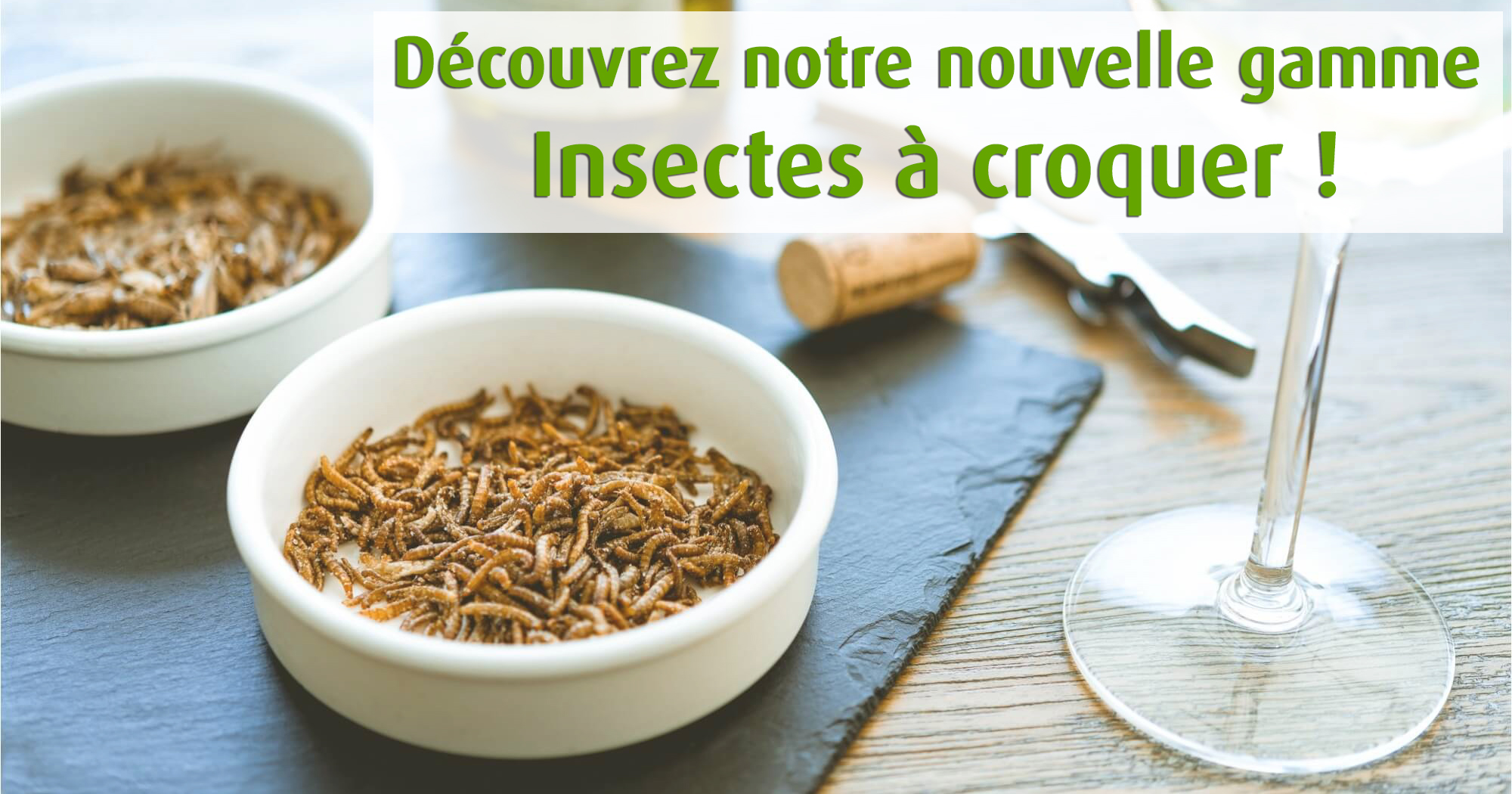 insectes_a_croquer