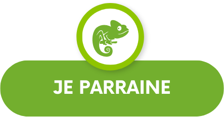 lien avec un gecko menant vers la page parrainage