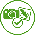 Photos contractuelles disponibles