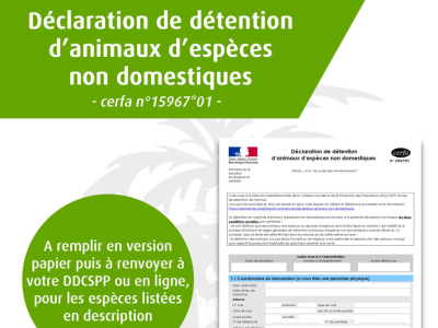 [Législation] La nouvelle déclaration de détention est disponible