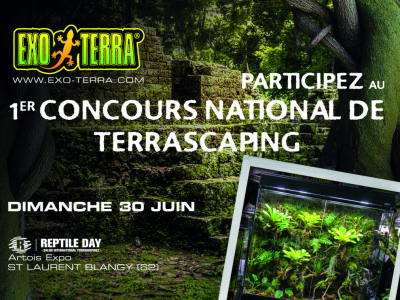[Évènement] Concours de terrascaping par Exo Terra lors du Reptile Day !
