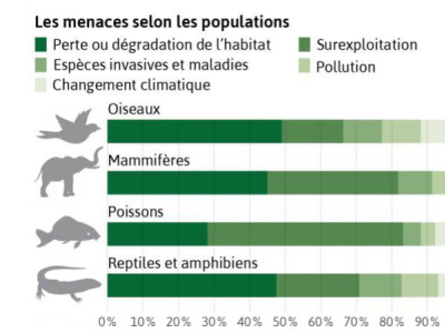 [Actualité] Le rapport alarmant de l'ONU sur le déclin de la biodiversité