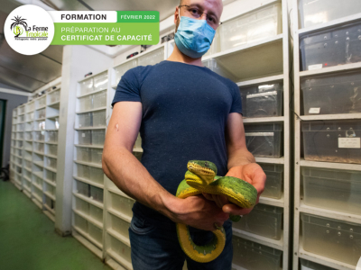 Résumé en images de notre formation de préparation au certificat de capacité - f