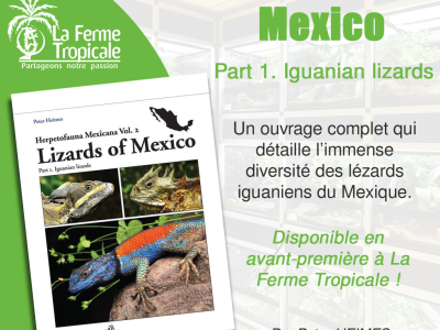Nouveauté : Lizards of Mexico part 1. Iguanians lizards aux Editions Chimaira